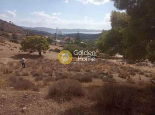 Αγροτεμάχια 544 τ.μ. για πώληση