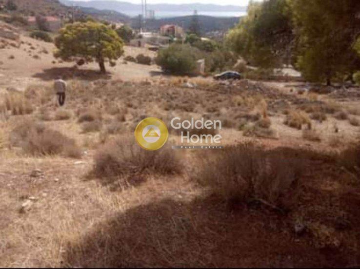 Αγροτεμάχια 544 τ.μ. πρός πώληση, Αττική - Υπόλοιπο, Κερατέα