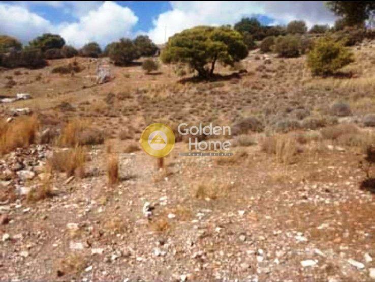 Αγροτεμάχια 544 τ.μ. πρός πώληση, Αττική - Υπόλοιπο, Κερατέα