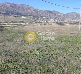 Αγροτεμάχια 5.646 τ.μ. για πώληση