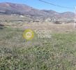 Parcel 5.646sqm for sale-Paros » Drios