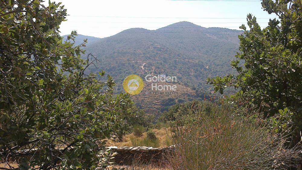 Αγροτεμάχια 11.627 τ.μ. πρός πώληση, Κυκλάδες, Κέα