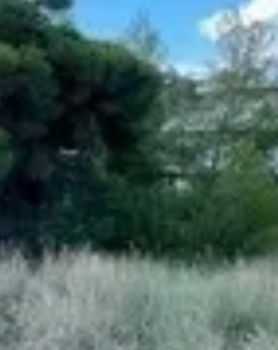 Land plot 572sqm for sale-Alimos » Center