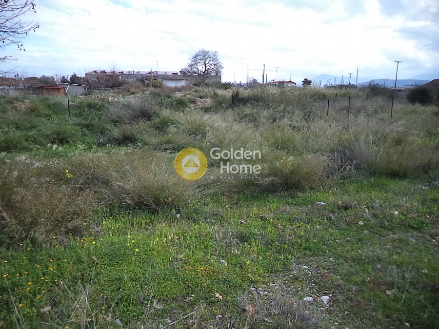 Οικόπεδο 300 τ.μ. προς πώληση, Αχαΐα, Ερίνεο