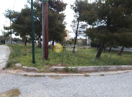 Οικόπεδο 1.022τ.μ. για πώληση-Πικέρμι » Κέντρο