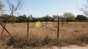 Land plot 4.100sqm for sale-Oropos » Stathmos Afidnon