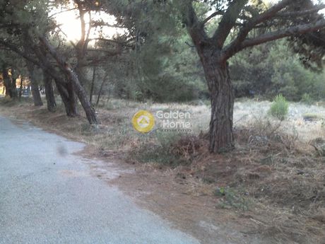 Αγροτεμάχια 308 τ.μ. για πώληση
