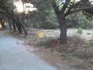 Parcel 308sqm for sale-Acharnes » Megala Sxoinia A