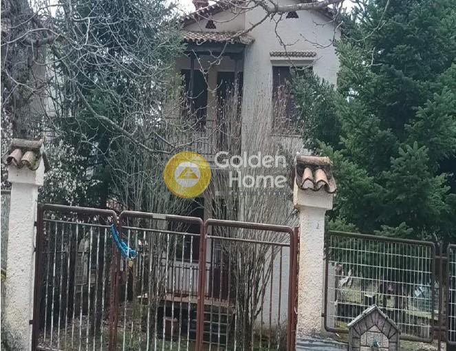 Κτίριο 146 τ.μ. πρός πώληση, Ν. Τρικάλων, Αιθήκοι