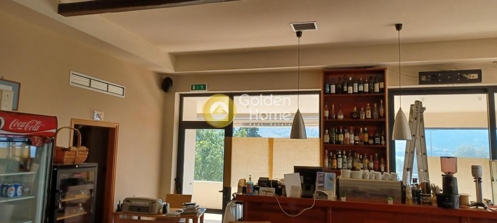 Οικόπεδο 5.063 τ.μ. προς πώληση, Παραλία Φηγιά