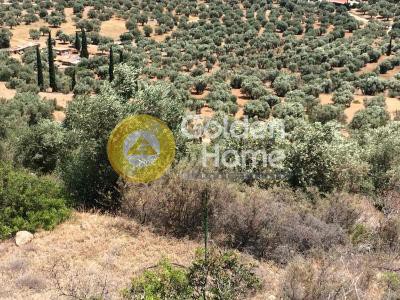 Αγροτεμάχια 5.050 τ.μ. πρός πώληση, Βοιωτία, Λιβαδειά