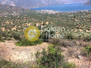 Αγροτεμάχια 5.050 τ.μ. για πώληση