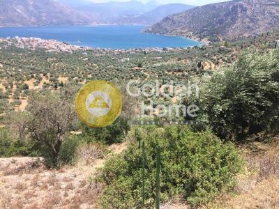 Αγροτεμάχια 5.050 τ.μ. πρός πώληση, Βοιωτία, Λιβαδειά