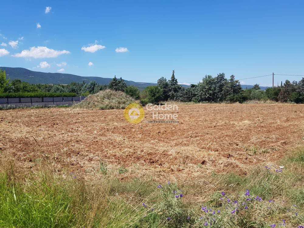 Αγροτεμάχια 4.800 τ.μ. προς πώληση, Μονή Αγίας Αναστασίας Φαρμακολύτριας