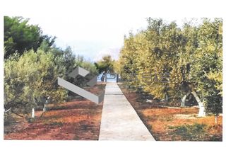 Μονοκατοικία 240 τ.μ. για πώληση, Αργολίδα, Άργος-thumb-19