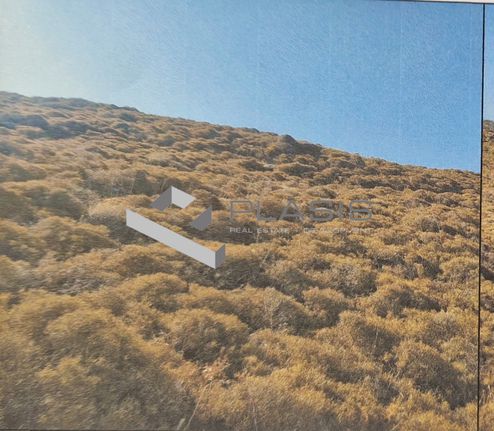 Οικόπεδο 5.500 τ.μ. για πώληση, Κυκλάδες, Άνδρος