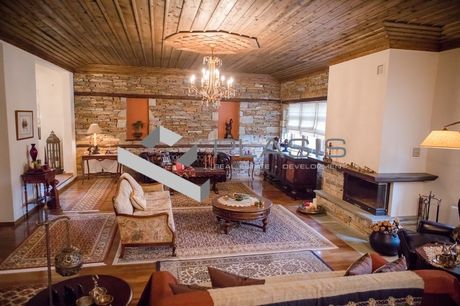 Μονοκατοικία 380τ.μ. για πώληση-Βέροια