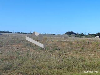 Αγροτεμάχια 8.020 τ.μ. για πώληση