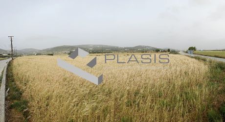 Αγροτεμάχια 11.000τ.μ. για πώληση-Πάρος