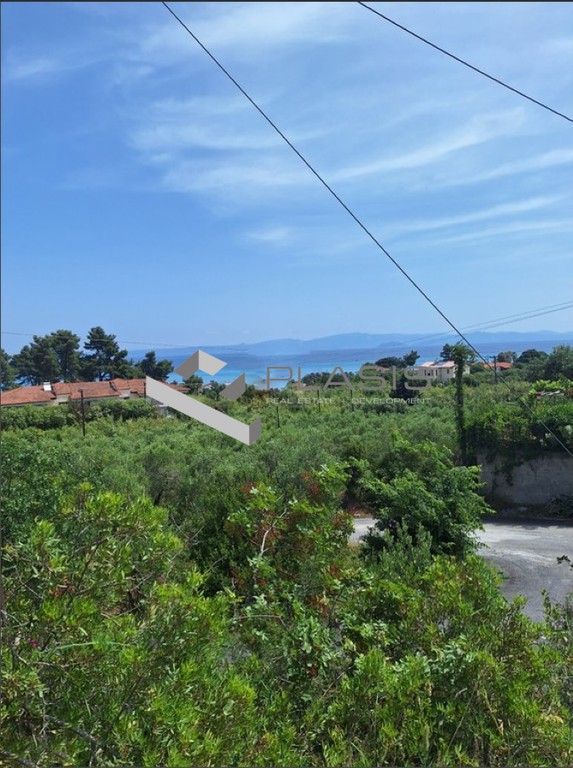 Οικόπεδο 11.000 τ.μ. προς πώληση, Χανιώτης