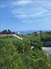 Οικόπεδο 11.000 τ.μ. για πώληση