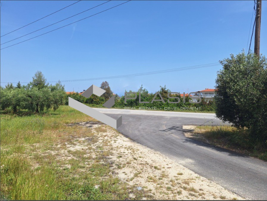 Οικόπεδο 11.000 τ.μ. προς πώληση, Χανιώτης