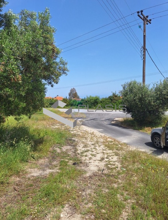Οικόπεδο 11.000 τ.μ. προς πώληση, Χανιώτης