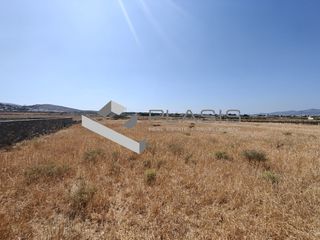 Αγροτεμάχια 4.000 τ.μ. για πώληση
