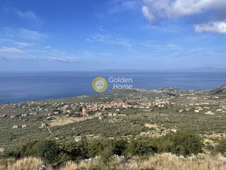 Οικόπεδο 5.000 τ.μ. προς πώληση, Πύργος Λεύκτρου-thumb-1