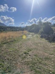 Οικόπεδο 5.000 τ.μ. προς πώληση, Πύργος Λεύκτρου-thumb-4