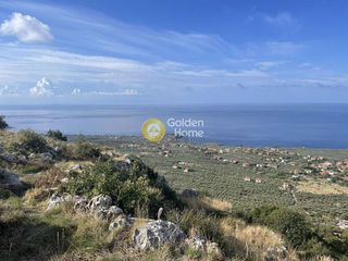 Οικόπεδο 5.000 τ.μ. για πώληση