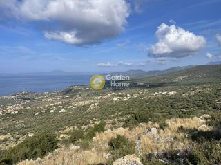 Οικόπεδο 5.000 τ.μ. προς πώληση, Πύργος Λεύκτρου-thumb-2
