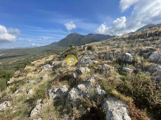 Οικόπεδο 5.000 τ.μ. προς πώληση, Πύργος Λεύκτρου-thumb-3