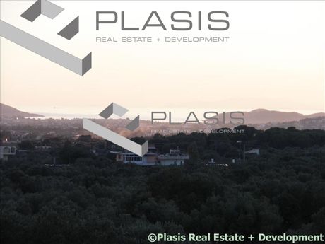 Detached home 320sqm for sale-Kalivia Thorikou