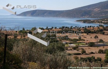 Οικόπεδο 11.000τ.μ. για πώληση-Κρανίδι