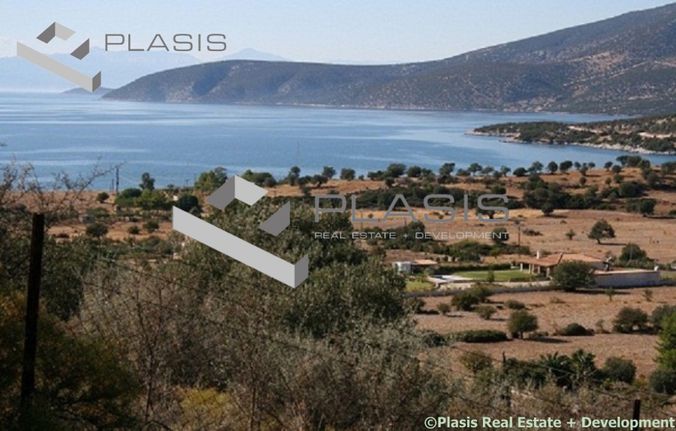 Οικόπεδο 11.000 τ.μ. για πώληση, Αργολίδα, Κρανίδι