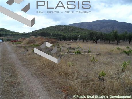 Οικόπεδο 4.000τ.μ. για πώληση-Κερατέα
