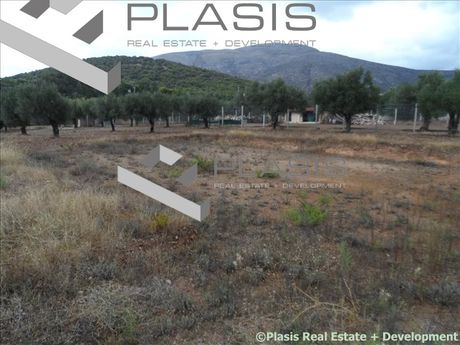 Οικόπεδο 4.000τ.μ. για πώληση-Κερατέα