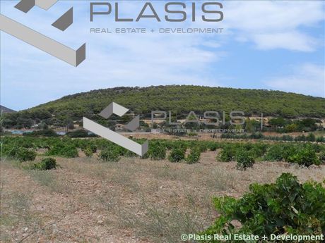 Οικόπεδο 11.000τ.μ. για πώληση-Κερατέα