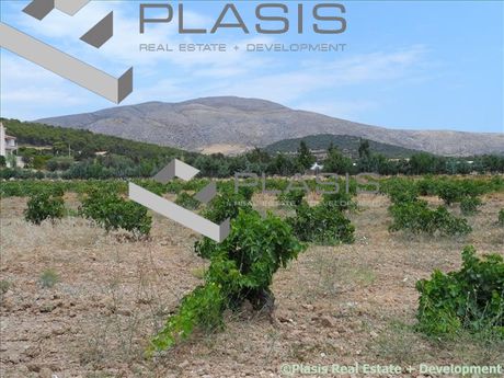 Οικόπεδο 5.600τ.μ. για πώληση-Κερατέα