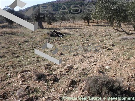 Land plot 10.000sqm for sale-Keratea