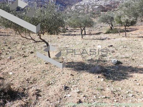 Οικόπεδο 10.000 τ.μ. για πώληση