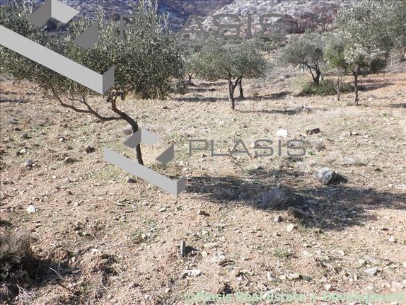 Οικόπεδο 10.000 τ.μ. για πώληση, Αττική - Υπόλοιπο, Κερατέα