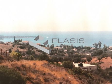 Οικόπεδο 4.600τ.μ. για πώληση-Κρανίδι