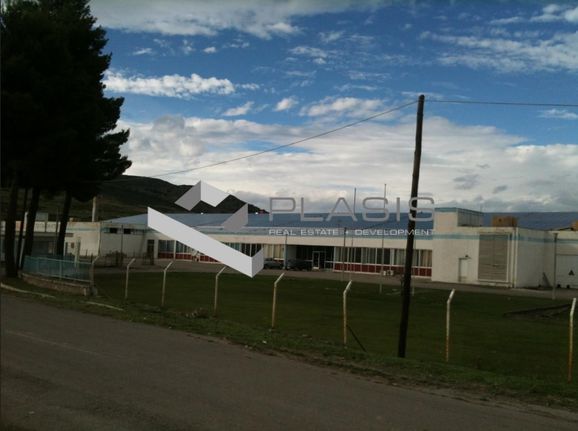 Επιχειρηματικό κτίριο 15.000 τ.μ. για πώληση, Βοιωτία, Λιβαδειά