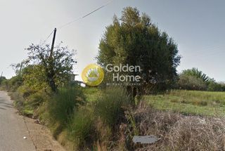 Αγροτεμάχια 1.505 τ.μ. για πώληση