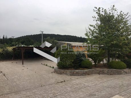 Μονοκατοικία 1.000τ.μ. για πώληση-Αφίδνες