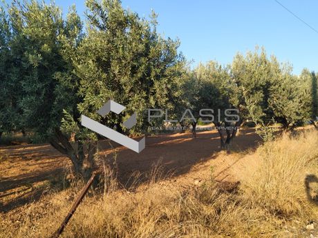 Οικόπεδο 1.240 τ.μ. για πώληση