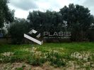 Land plot 560sqm for sale-Kalivia Thorikou