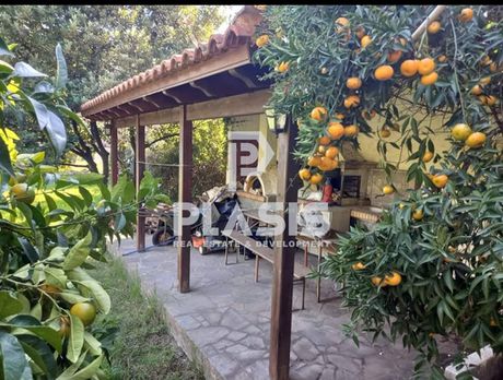 Μονοκατοικία 110τ.μ. για πώληση-Μαραθώνας